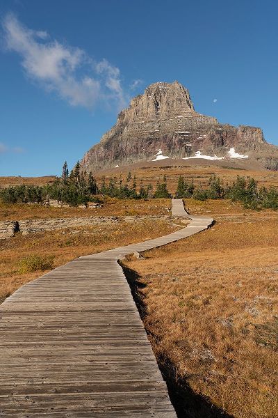 Jaynes Gallery 아티스트의 USA-Montana-Glacier National Park Boardwalk towards Clements Mountain작품입니다.